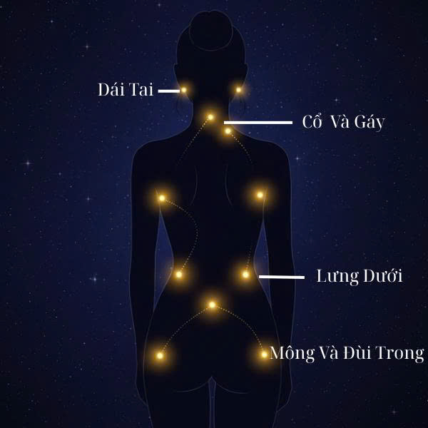 Bản đồ khoái cảm toàn thân của phụ nữ, bao gồm các vùng nhạy cảm ngoài bộ phận sinh dục như cổ, tai, và lưng dưới
